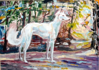 Saluki in the forest