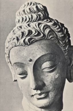 buddha photo - Version 2